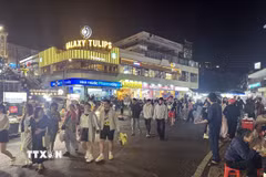 Chợ Đà Lạt là điểm thu hút nhiều du khách đến giải trí về đêm. (Ảnh: Chu Quốc Hùng/TTXVN)