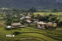 Bản Mường Giang Mỗ đang là điểm đến lý tưởng cho những ai muốn khám phá và trải nghiệm về văn hóa của cộng đồng người Mường. (Ảnh: Trọng Đạt/TTXVN)