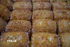 Một dây chuyền sản xuất bánh Trung Thu. (Ảnh: Bích Huệ/TTXVN)