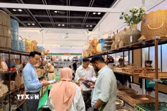 20 doanh nghiệp Việt Nam tham gia, giới thiệu các sản phẩm xuất khẩu thế mạnh tại MEGA SHOW Hong Kong 2026. (Ảnh: Lê Anh/TTXVN)