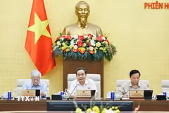 Chủ tịch Quốc hội Trần Thanh Mẫn phát biểu. (Ảnh: Doãn Tấn/TTXVN)