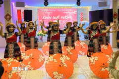 Hoạt động văn hóa, văn nghệ cộng đồng tại "Xuân Quê hương - Bính Ngọ 2026." (Ảnh: TTXVN phát)