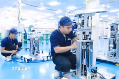 (Ảnh: Thành Phương/TTXVN)