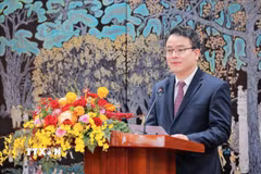 Thứ trưởng Bộ Tài chính Trần Quốc Phương. (Ảnh: Lê Đông/TTXVN)