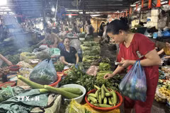 Ảnh minh họa. (Ảnh: Quốc Lũy/TTXVN)