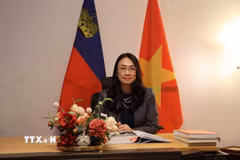 Đại sứ Châu Mai Anh trả lời phỏng vấn. (Ảnh: Anh Hiển/TTXVN)