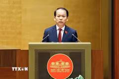 Bộ trưởng Bộ Tư pháp Hoàng Thanh Tùng, thừa ủy quyền của Thủ tướng Chính phủ trình bày Tờ trình về dự án Luật Đất đai (sửa đổi). (Ảnh: Doãn Tấn/TTXVN)