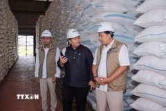 Kho gạo của Cơ quan Hậu cần Quốc gia Indonesia (Bulog) tại tỉnh Đông Java. (Ảnh: Đỗ Quyên/TTXVN)