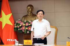 Phó Thủ tướng Hồ Quốc Dũng phát biểu tại cuộc họp. (Ảnh: An Đăng/TTXVN)