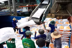 Vận chuyển gạo xuất khẩu. (Ảnh: Hồng Đạt/TTXVN)