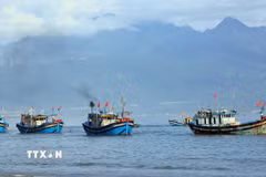 Thuyền đánh bắt thủy sản của ngư dân. (Ảnh: Trần Lê Lâm/TTXVN)