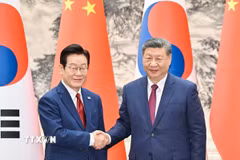 Chủ tịch Trung Quốc Tập Cận Bình (phải) và Tổng thống Hàn Quốc Lee Jae Myung tại cuộc hội đàm ở Bắc Kinh ngày 5/1. (Ảnh: THX/TTXVN)