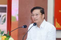 Chủ tịch Ủy ban Nhân dân tỉnh Nghệ An Lê Hồng Vinh phát biểu tại hội thảo Xây dựng văn hóa tiết kiệm, chống lãng phí. (Ảnh: TTXVN phát)