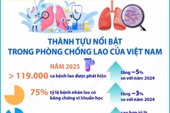 Những thành tựu nổi bật trong phòng chống lao của Việt Nam