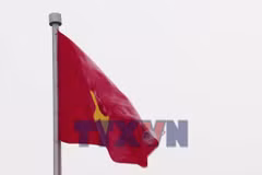 Đoàn kiều bào tiêu biểu vào Lăng viếng Chủ tịch Hồ Chí Minh
