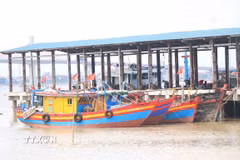 Tàu thuyền trú ẩn tránh bão. (Ảnh: Công Tường/TTXVN)