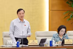 Phó Chủ tịch Quốc hội Nguyễn Khắc Định phát biểu. (Ảnh: Phạm Kiên/TTXVN)
