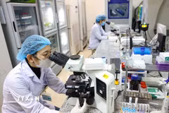 Nghiên cứu khoa học tại Bệnh viện Nội tiết Trung ương. (Ảnh: Thanh Tùng/TTXVN)