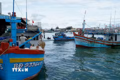 Tàu cá ra vào cảng cá Quy Nhơn. (Ảnh: Đình Quân/TTXVN)