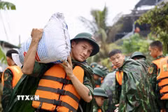 Lực lượng bộ đội hỗ trợ đắp đê bao ngăn nước khu dân cư ven sông Bùi. (Ảnh: Nhật Anh/TTXVN)