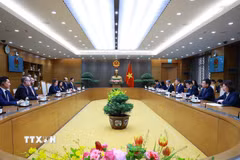 Thủ tướng Lê Minh Hưng tiếp bà Fiona Bassett, Tổng Giám đốc Điều hành FTSE Russell. (Ảnh: Dương Giang/TTXVN)