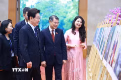 Thủ tướng Lê Minh Hưng và Tổng thống Hàn Quốc Lee Jae Myung tham quan trưng bày ảnh về quan hệ giữa hai nước, do Thông tấn xã Việt Nam thực hiện. (Ảnh: Dương Giang/TTXVN)