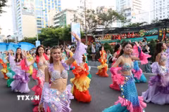Ảnh minh họa. (Ảnh: Đặng Tuấn/TTXVN)