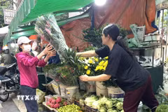 Thị trường hàng hóa rằm tháng Giêng rất sôi động. (Ảnh: Quốc Lũy/TTXVN)