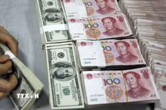 Kiểm tiền nhân dân tệ (phải) và USD (trái) tại ngân hàng ở tỉnh An Huy, Trung Quốc. (Ảnh: AFP/TTXVN)