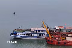Tàu Vịnh Xanh đã được bơm hết nước trong khoang ra ngoài và lai dắt về khu vực nhà máy đóng tàu Hạ Long chờ xử lý. (Ảnh: Thanh Vân/TTXVN)