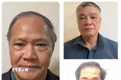 Bị can Hoàng Văn Thắng, nguyên Thứ trưởng Nông nghiệp và Phát triển nông thôn (trái) cùng 2 bị can Trần Tố Nghị và Trần Văn Lăng (áo đỏ). (Ảnh: TTXVN phát)