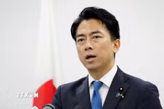 Bộ trưởng Quốc phòng Nhật Bản Shinjiro Koizumi. (Ảnh: Kyodo/TTXVN)