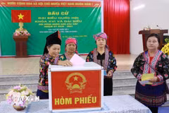 Cử tri bỏ phiếu bầu cử tại khu vực bỏ phiếu số 3, bản Nậm Sảo 2, xã biên giới Pa Tần. (Ảnh: Quý Trung/TTXVN)