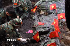 Những lá cờ nhỏ đánh dấu điểm nghi có hài cốt liệt sỹ tại Công viên Văn hóa Lê Thị Riêng. (Ảnh: Xuân Khu/TTXVN)