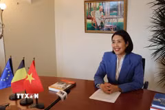 Đại sứ Việt Nam tại Vương quốc Bỉ, Trưởng Phái đoàn Việt Nam bên cạnh Liên minh châu Âu Nguyễn Hương Trà. (Ảnh: Duy Tùng/TTXVN)