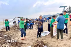 Ước tính có khoảng 6.000m3 rác, củi theo mưa lũ dạt vào bãi biển Sầm Sơn. (Ảnh: TTXVN phát)
