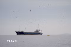 Tàu thủy di chuyển ở eo biển Hormuz, ngoài khơi tỉnh Musandam của Oman, ngày 12/4. (Ảnh: REUTERS/TTXVN)
