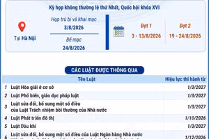 Các luật, nghị quyết được thông qua tại Kỳ họp không thường lệ thứ Nhất, Quốc hội khóa XVI