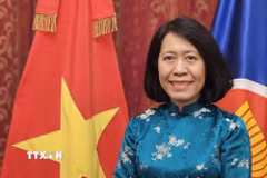 Đại sứ Việt Nam tại Argentina, kiêm nhiệm Paraguay và Uruguay, Ngô Minh Nguyệt. (Ảnh: TTXVN phát)