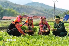 Cán bộ Đồn Biên phòng A Pa Chải (Điện Biên) giúp đỡ người dân phát triển kinh tế, xóa đói, giảm nghèo, góp phần xây dựng nông thôn mới, củng cố mối quan hệ đoàn kết, gắn bó quân dân. (Ảnh: Minh Đức/TTXVN)