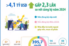 Vốn đầu tư nước ngoài đăng ký vào Hà Nội trong 11 tháng đạt hơn 4 tỷ USD 