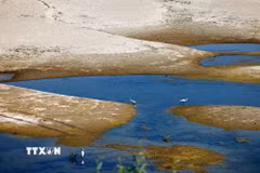 Mực nước sông Danube xuống thấp tại Rasova, Romania. (Ảnh: THX/TTXVN phát)