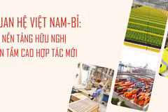 Việt Nam-Bỉ: Từ nền tảng hữu nghị đến tầm cao hợp tác mới