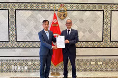 Đại sứ Nguyễn Nam Dương trình bản sao Thư ủy nhiệm lên Quốc Vụ Khanh Bộ Ngoại giao Mohamed Ben Ayed. (Ảnh: Đại sứ quán Việt Nam tại Ai Cập/TTXVN phát)