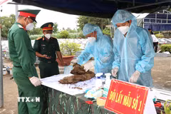 Lực lượng chức năng lấy mẫu hài cốt liệt sỹ chưa xác định được thông tin tại Nghĩa trang Liệt sỹ Tiểu Cần theo đúng quy trình kỹ thuật, phục vụ giám định ADN. (Ảnh: Thanh Hòa/TTXVN)