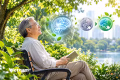 Người cao tuổi sống gần cây xanh có nguy cơ sa sút trí tuệ thấp hơn 