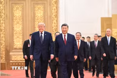 Chủ tịch Trung Quốc Tập Cận Bình (phải, phía trước) chủ trì tiệc chiêu đãi Tổng thống Mỹ Donald Trump (trái, phía trước) đang ở thăm Bắc Kinh, ngày 14/5/2026. (Ảnh: THX/TTXVN)