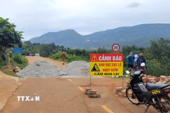 (Ảnh minh họa: Hoài Nam/TTXVN)
