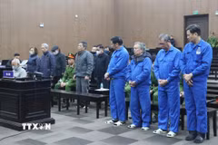 Các bị cáo tại VICEM được giảm án trong vụ "tòa tháp nghìn tỷ" bị bỏ hoang