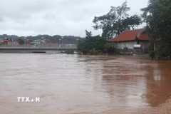 (Ảnh minh họa. Quang Duy/TTXVN)